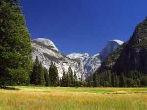 Half Dome in Yosemite National Park