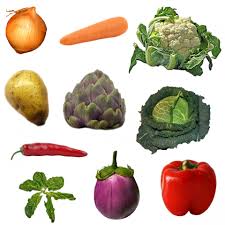 Freshfood